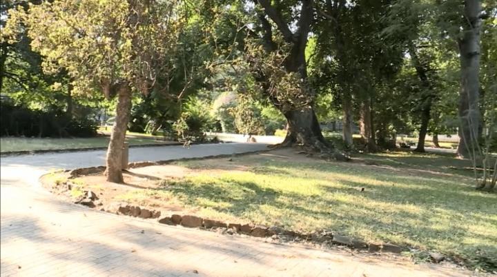 Maputo’s 138-year-old botanical gardens without water since January Maputo’s 138-year-old botanical gardens without water since January
