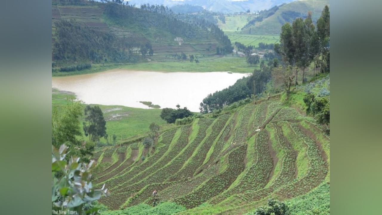 Conserving Africa’s biodiversity: the solution to climate change Conserving Africa’s biodiversity: the solution to climate change