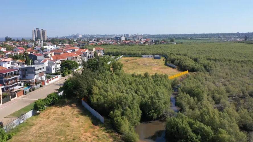 Licence to build condominium in mangrove area may be revoked Licence to build condominium in mangrove area may be revoked