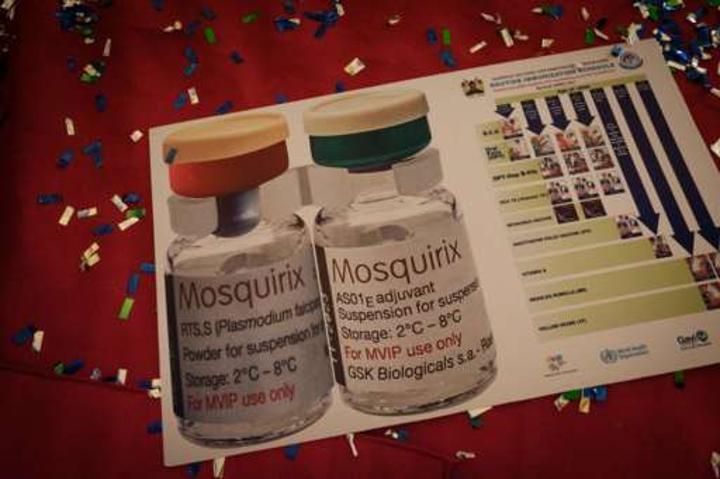Twelve African states to get new malaria vaccine – WHO Twelve African states to get new malaria vaccine – WHO