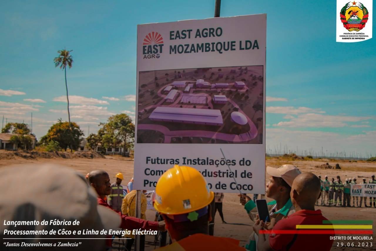 Zambézia will have a coconut processing plant Zambézia will have a coconut processing plant