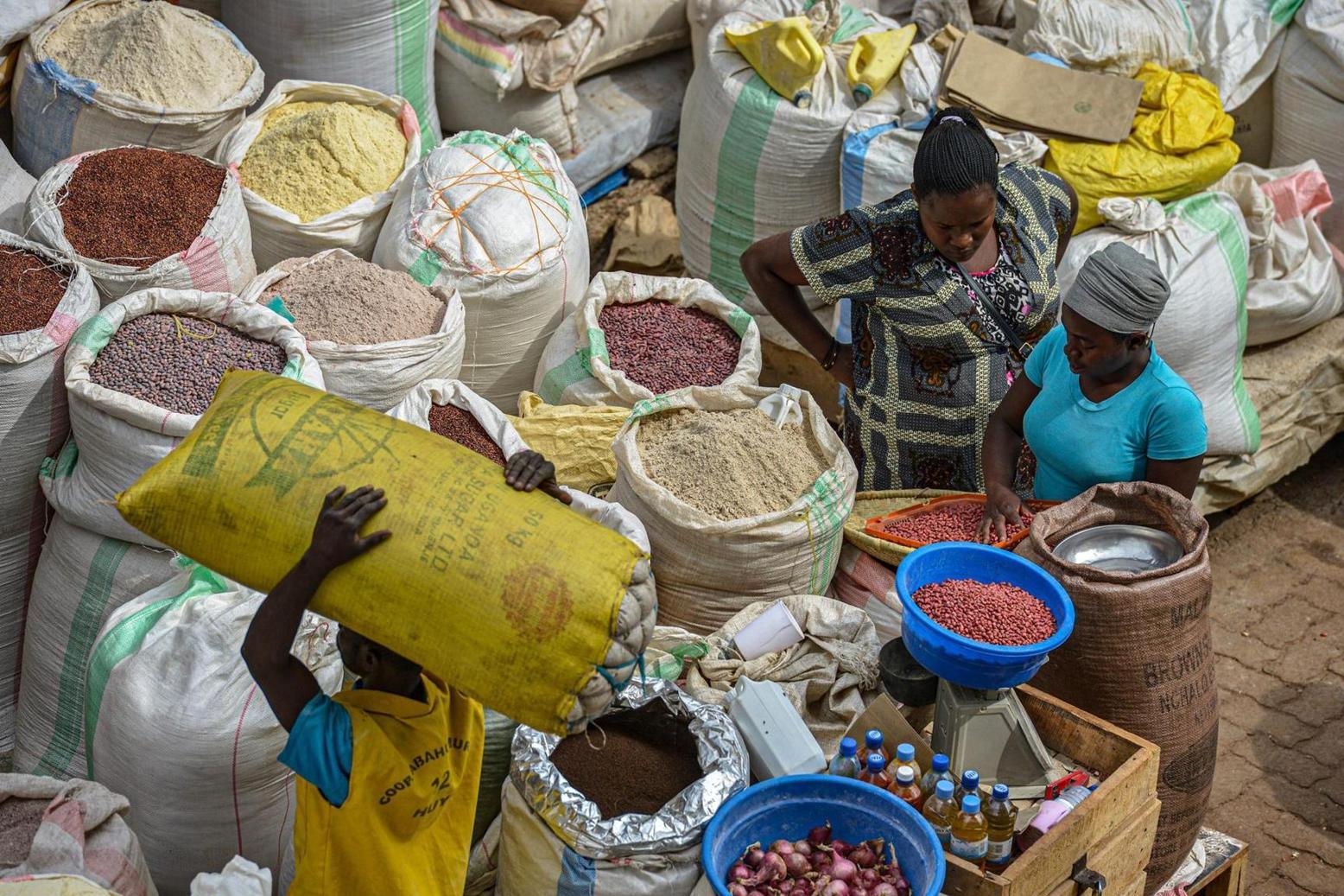 ‘Eliminate NTBs to boost intra-African food trade’ ‘Eliminate NTBs to boost intra-African food trade’