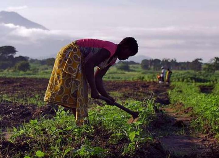 AGRA to fund nearly two million smallholder farmers AGRA to fund nearly two million smallholder farmers