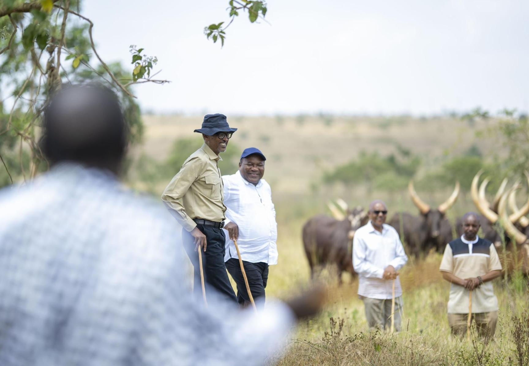 Rwanda: Kagame gifts visiting Mozambican president with cows Rwanda: Kagame gifts visiting Mozambican president with cows