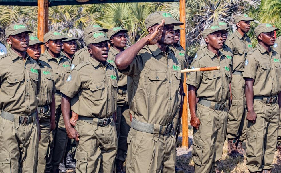 About 70 conservation rangers killed by animals, poachers since 2020 – government About 70 conservation rangers killed by animals, poachers since 2020 – government