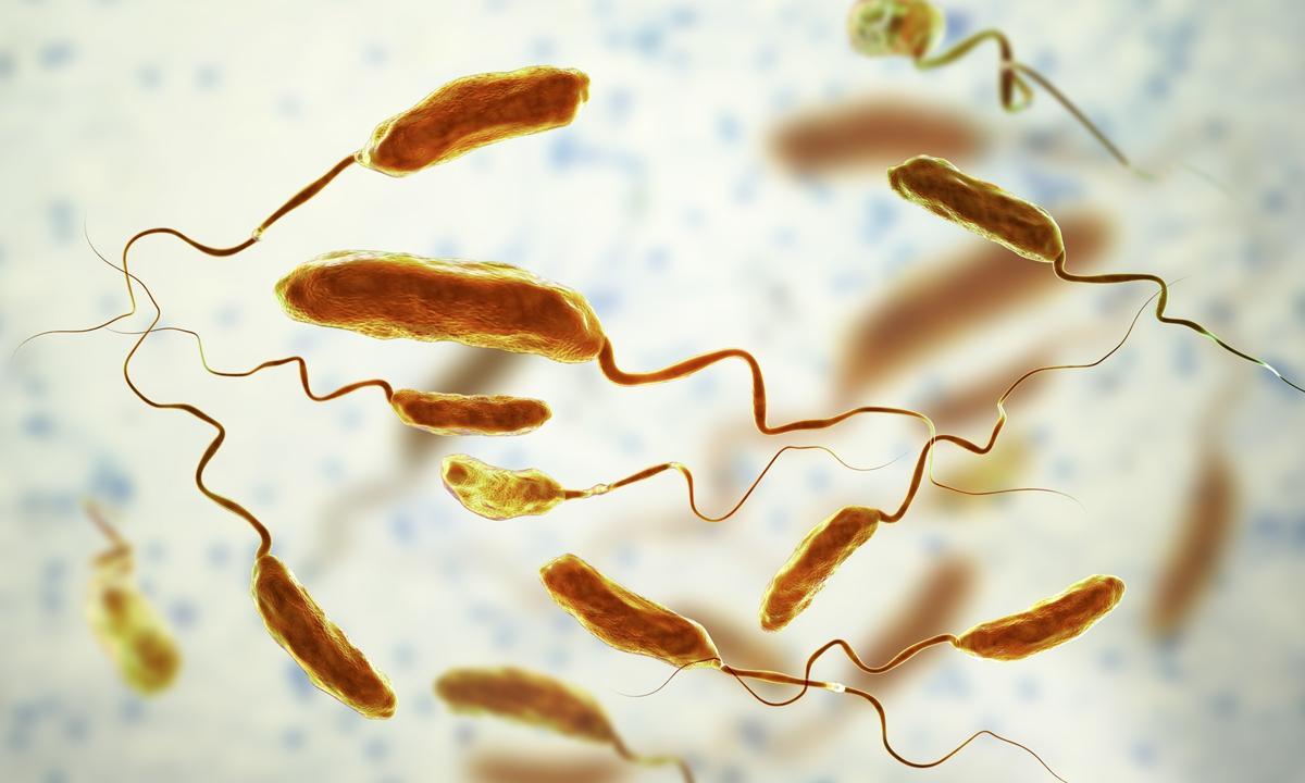 Another 143 cases of cholera, one death in first week of August Another 143 cases of cholera, one death in first week of August