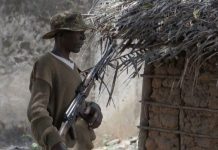 Army kills two senior rebel leaders in Cabo Delgado Army kills two senior rebel leaders in Cabo Delgado
