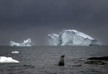 Melting glaciers drive Arctic sea traffic surge, reshaping global trade and environment Melting glaciers drive Arctic sea traffic surge, reshaping global trade and environment