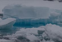 2025: Can the planet’s glaciers be saved from climate change? 2025: Can the planet’s glaciers be saved from climate change?