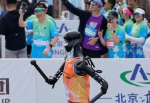 World’s First Robot Boxing Contest Optimizes Algorithms World's First Robot Boxing Contest Optimizes Algorithms