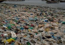 Renewed Calls to End Plastic Pollution on World Environment Day Renewed Calls to End Plastic Pollution on World Environment Day