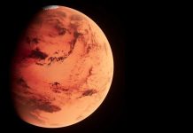 Largest Mars Rock on Earth Sells for $5.3M at Auction Largest Mars Rock on Earth Sells for $5.3M at Auction