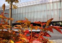 EU Court Ruling Challenges FIFA’s Legal Dominance EU Court Ruling Challenges FIFA's Legal Dominance