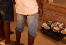 Three arrested in Pemba over 10 kg of sea turtle meat Three arrested in Pemba over 10 kg of sea turtle meat