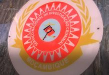 Mozambique SERNIC 2025-33 Strategic Plan Costs $1.2B Mozambique SERNIC 2025-33 Strategic Plan Costs $1.2B