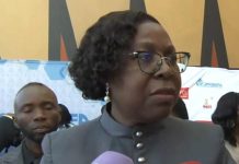 Mozambique Government Updates on LAM Biweekly Mozambique Government Updates on LAM Biweekly