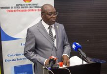 Delay in Approving Mondlane’s Party Due to Processes Delay in Approving Mondlane’s Party Due to Processes