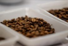 Global coffee consumption over last decade totaled $370B Global coffee consumption over last decade totaled $370B