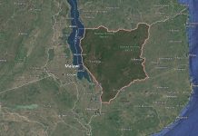 Malawians Arrested for Illegal Stay and Logging Malawians Arrested for Illegal Stay and Logging