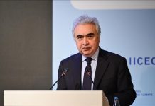 IEA Chief Stresses Diversification for Energy Security IEA Chief Stresses Diversification for Energy Security