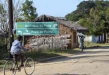 Bodies of Three Terrorist Victims Found in Mocímboa Bodies of Three Terrorist Victims Found in Mocímboa