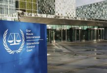 Expert Urges Africa to Fix, Not Abandon, the ICC Expert Urges Africa to Fix, Not Abandon, the ICC