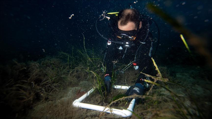 Coral Reefs in Crisis: Is There Still a Way Back? Coral Reefs in Crisis: Is There Still a Way Back?
