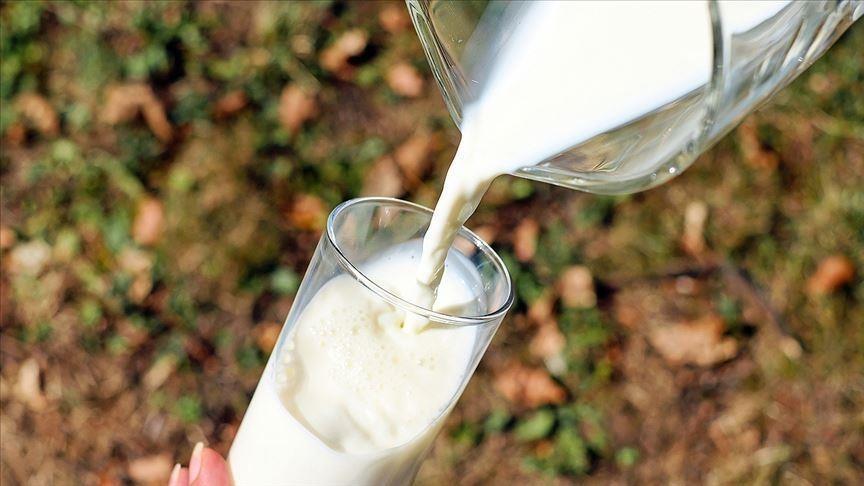 Bird flu virus found in raw milk cheese, study finds Bird flu virus found in raw milk cheese, study finds