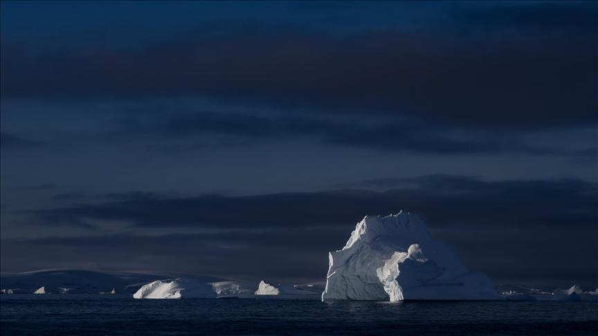 Melting Arctic ice could strengthen marine life: Study Melting Arctic ice could strengthen marine life: Study