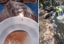 Mozambique Joins List of Potential Rare Earth Suppliers Mozambique Joins List of Potential Rare Earth Suppliers