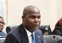 Zambia, Mozambique plan joint power project Zambia, Mozambique plan joint power project