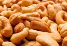 Targets 689,000-Tonne Cashew Output by 2034 Targets 689,000-Tonne Cashew Output by 2034