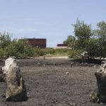 Blue Forest Plants 40 Million Mangrove Trees in Mozambique Blue Forest Plants 40 Million Mangrove Trees in Mozambique