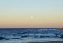 Mozambique Bonds Rise After TotalEnergies Lifts Force Majeure Mozambique Bonds Rise After TotalEnergies Lifts Force Majeure