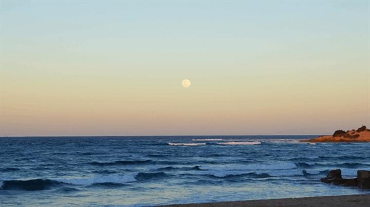 Mozambique Bonds Rise After TotalEnergies Lifts Force Majeure Mozambique Bonds Rise After TotalEnergies Lifts Force Majeure