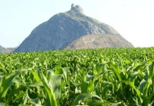 Government-approved draft Land Law heads to Parliament Government-approved draft Land Law heads to Parliament