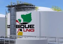 Government To Decide On Extending LNG Concession Government To Decide On Extending LNG Concession