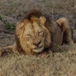 Dércio Rodrigues Wins Best Tourism Photography Award Dércio Rodrigues Wins Best Tourism Photography Award