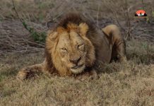 Dércio Rodrigues Wins Best Tourism Photography Award Dércio Rodrigues Wins Best Tourism Photography Award