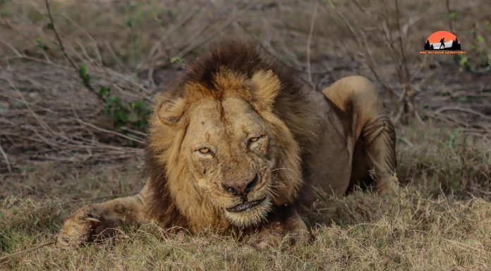 Dércio Rodrigues Wins Best Tourism Photography Award Dércio Rodrigues Wins Best Tourism Photography Award