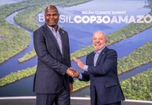 Brazil Central Partner in Mozambique’s Energy Transition Brazil Central Partner in Mozambique's Energy Transition