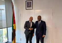 Mozambique South Africa Strengthen Energy Cooperation Mozambique South Africa Strengthen Energy Cooperation