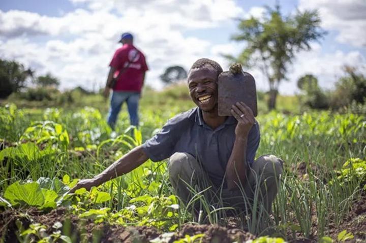 Mozambique Transforms Smallholders Into Agripreneurs Mozambique Transforms Smallholders Into Agripreneurs