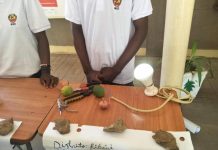 Faifé Overcomes Power Outages with Lemon and Onion Faifé Overcomes Power Outages with Lemon and Onion