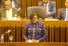 Rebel Actions Persist in Cabo Delgado Despite Stabilization Rebel Actions Persist in Cabo Delgado Despite Stabilization