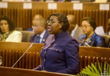 LAM Restructuring To Cut Workforce And Add Embraer 190s LAM Restructuring To Cut Workforce And Add Embraer 190s