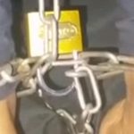 Victim of kidnapping tortured while filmed begging for help Victim of kidnapping tortured while filmed begging for help