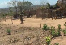 Four killed by terrorists in Memba district Four killed by terrorists in Memba district