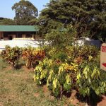 New Cholera Outbreak in North Nearly 500 Cases New Cholera Outbreak in North Nearly 500 Cases