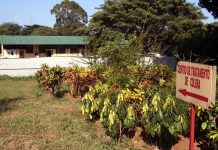 New Cholera Outbreak in North Nearly 500 Cases New Cholera Outbreak in North Nearly 500 Cases